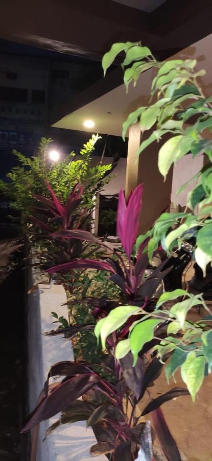 新苏海勒酒店 海得拉巴 外观 照片